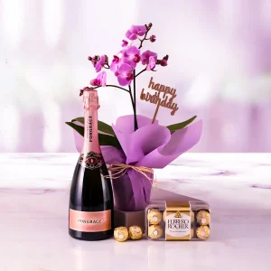 Mini Purple Orchid Plant with Sparkling Juice and Ferrero
