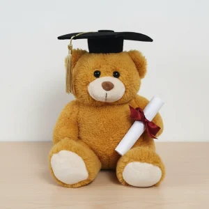 Graduation Teddy Bear