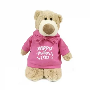 Teddy Bear in Pink Hoodie (28cm)